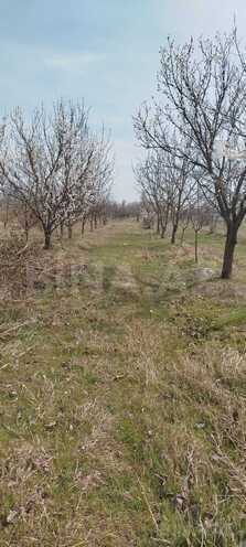 Satılır  torpaq 400 sot, photo 4 from 17