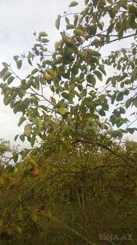 Satılır  torpaq 400 sot, photo 10 from 17