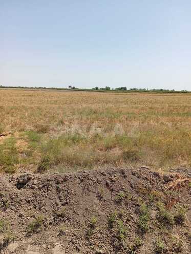 Продаётся  участок 3 051 сот, photo 4 from 5