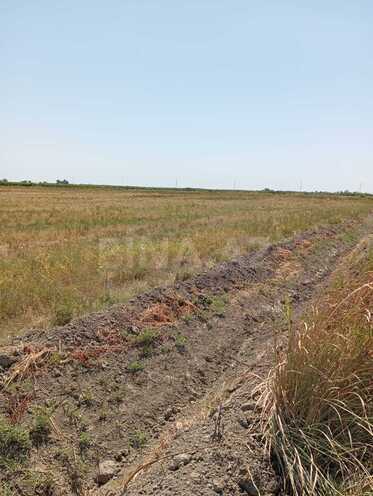 Продаётся  участок 3 051 сот, photo 3 from 5