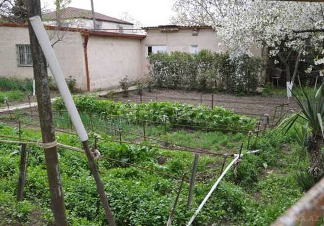 Продаётся 6-комн. дом/дача 120 м², photo 14 from 21