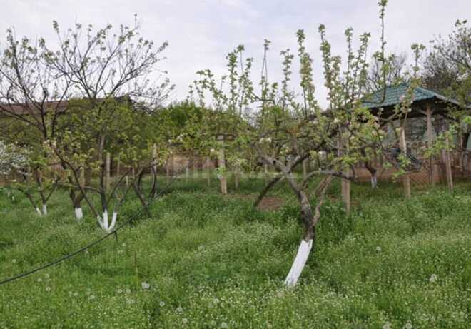 Продаётся 6-комн. дом/дача 120 м², photo 16 from 21