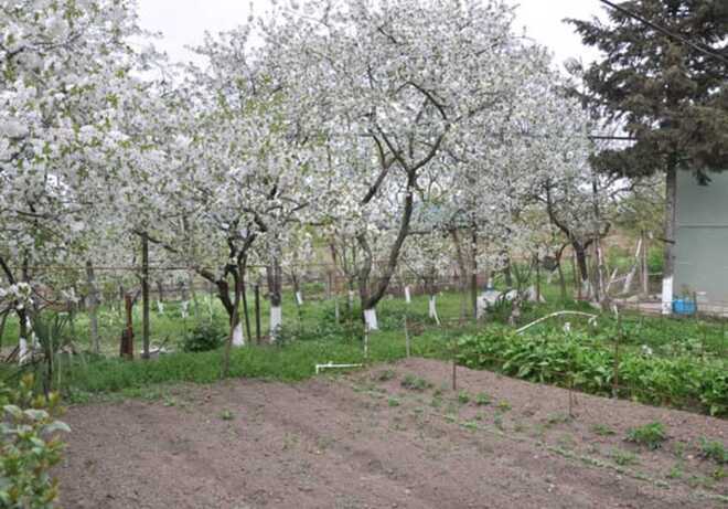 Продаётся 6-комн. дом/дача 120 м², photo 10 from 21