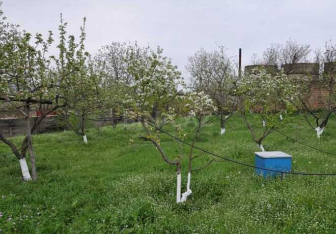 Продаётся 6-комн. дом/дача 120 м², photo 20 from 21