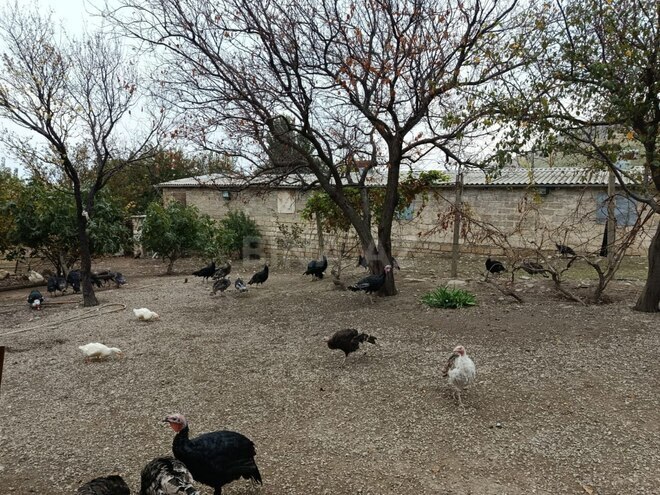 Продаётся  объект 12 000 м², photo 16 from 18