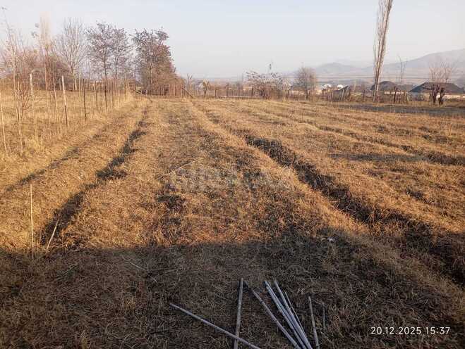 Продаётся  участок 8 сот, photo 6 from 10