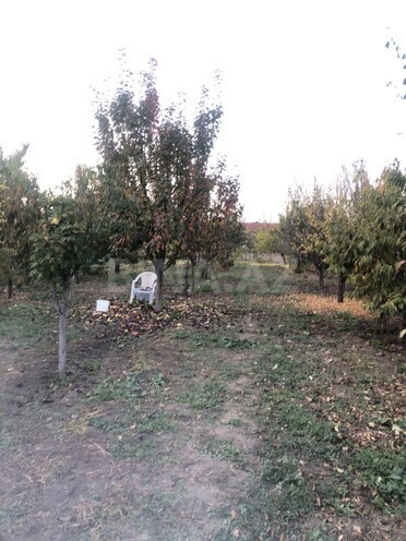 Satılır 5 otaqlı həyət evi/bağ evi 500 m², photo 7 from 13