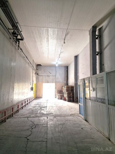 Сдаётся  объект 350 м², Абшеронcкий  р., photo 8 from 10