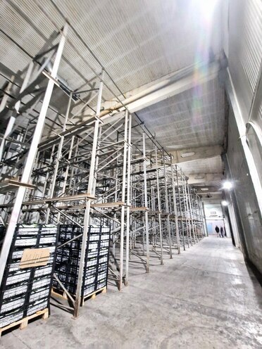 Сдаётся  объект 350 м², Абшеронcкий  р., photo 6 from 10