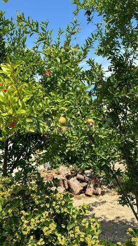 Продаётся 3-комн. дом/дача 140 м², пос. Новханы, photo 3 from 28