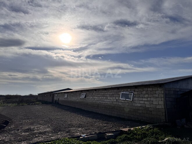 Satılır  obyekt 60 m², photo 10 from 32