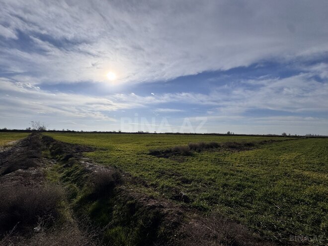 Satılır  obyekt 60 m², photo 29 from 32