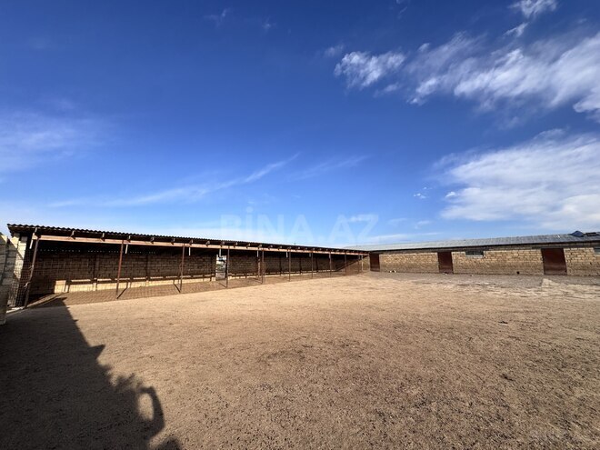 Satılır  obyekt 60 m², photo 20 from 32