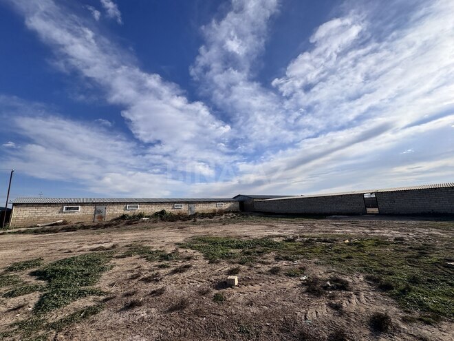 Satılır  obyekt 60 m², photo 14 from 32