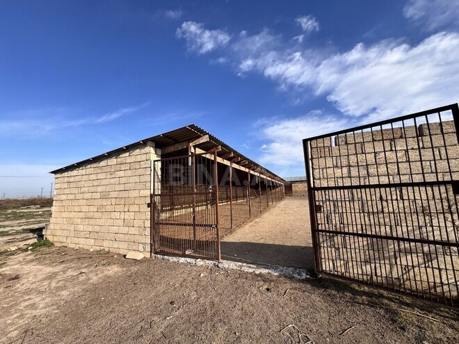 Satılır  obyekt 60 m², photo 18 from 32