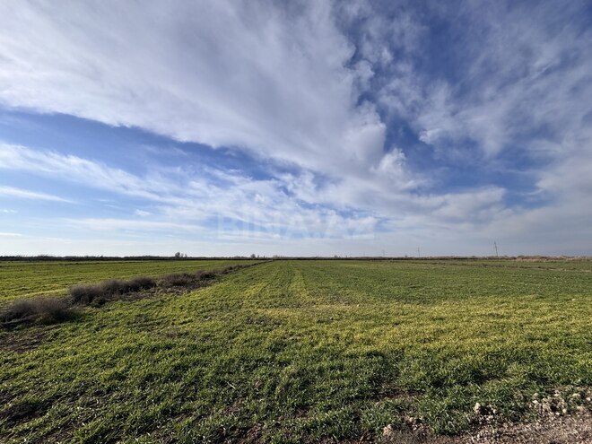 Satılır  obyekt 60 m², photo 8 from 32