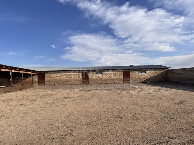 Satılır  obyekt 60 m², photo 22 from 32