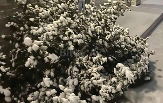 Продаётся 4-комн. дом/дача 170 м², м. Азадлыг проспекти, photo 5 from 7