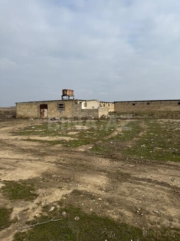 İcarəyə verilir  torpaq 200 sot, Hövsan q., photo 3 from 13