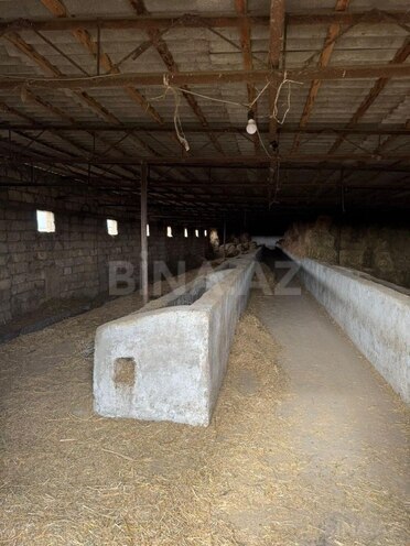 İcarəyə verilir  torpaq 200 sot, Hövsan q., photo 9 from 13