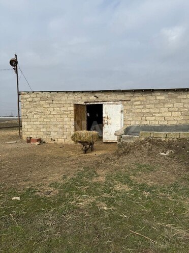 İcarəyə verilir  torpaq 200 sot, Hövsan q., photo 5 from 13