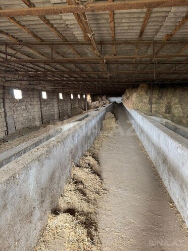 İcarəyə verilir  torpaq 200 sot, Hövsan q., photo 7 from 13