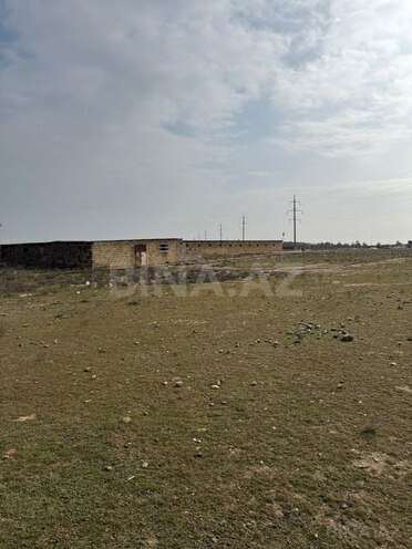 İcarəyə verilir  torpaq 200 sot, Hövsan q., photo 10 from 13