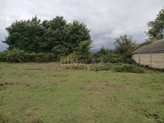 Satılır  torpaq 6 sot, Astara r., photo 3 from 4