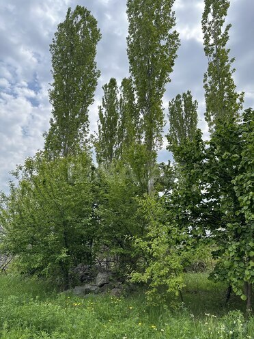 Продаётся  участок 31 сот, photo 14 from 17