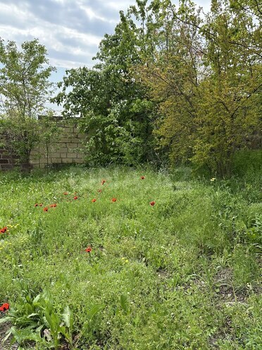 Продаётся  участок 31 сот, photo 16 from 17