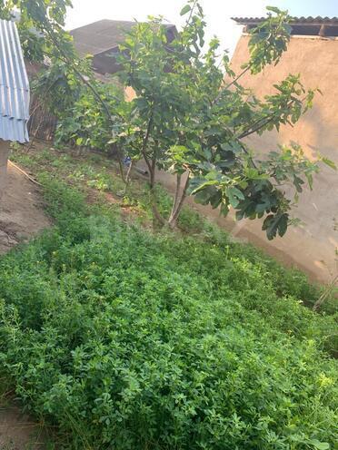 Продаётся 5-комн. дом/дача 160 м², пос. Сулутепе, photo 24 from 28