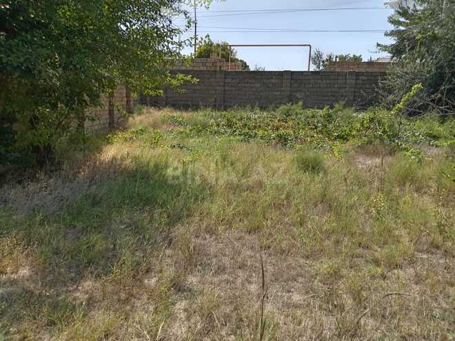 Satılır  torpaq 9 sot, Novxanı q., photo 8 from 10