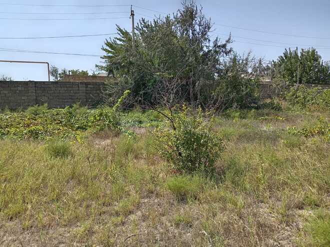 Satılır  torpaq 9 sot, Novxanı q., photo 7 from 10