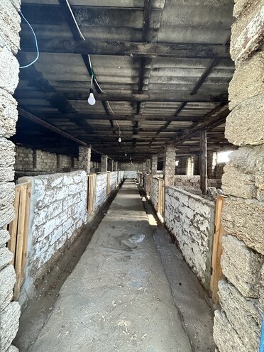 Продаётся  объект 2 500 м², пос. Тюркан, photo 8 from 20