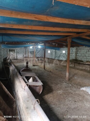Satılır 3 otaqlı həyət evi/bağ evi 65 m², photo 6 from 16