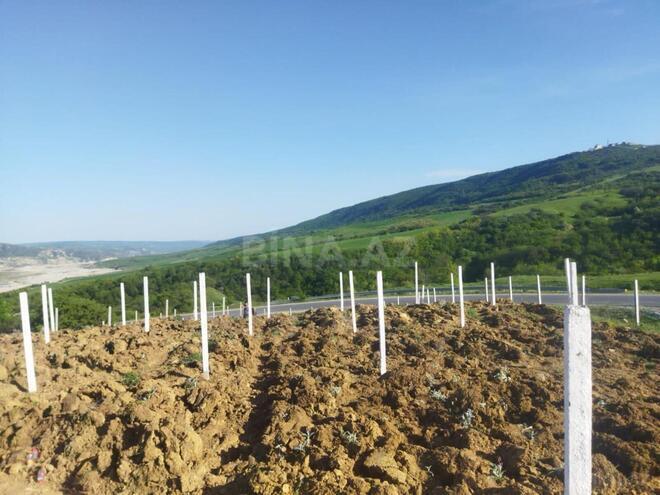 Satılır  torpaq 600 sot, photo 6 from 12