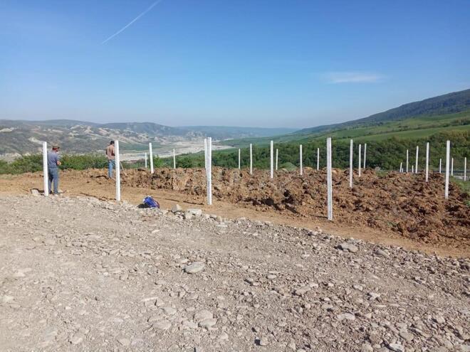 Satılır  torpaq 600 sot, photo 5 from 12