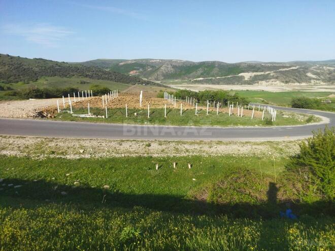 Satılır  torpaq 600 sot, photo 8 from 12