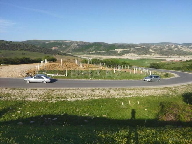 Satılır  torpaq 600 sot, photo 7 from 12