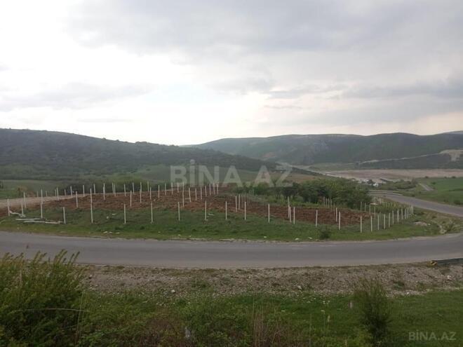 Satılır  torpaq 600 sot, photo 11 from 12