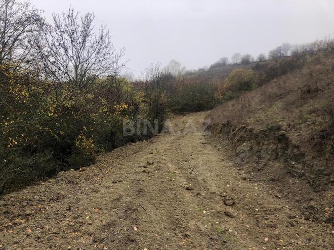 Satılır  torpaq 600 sot, photo 3 from 12