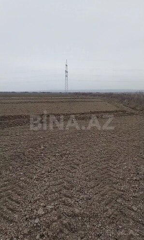 Satılır  torpaq 252 sot, photo 3 from 4