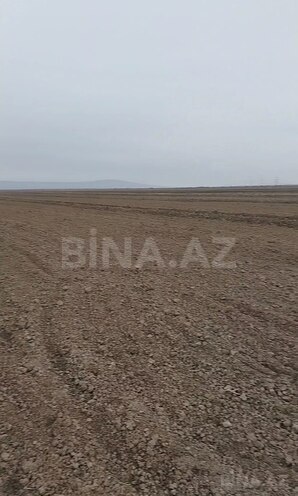 Satılır  torpaq 900 sot, photo 3 from 6