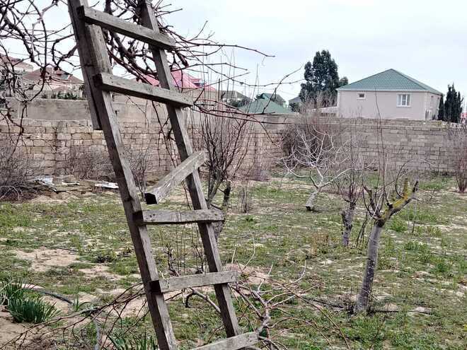 Satılır 3 otaqlı həyət evi/bağ evi 100 m², Pirallahı r., photo 15 from 19