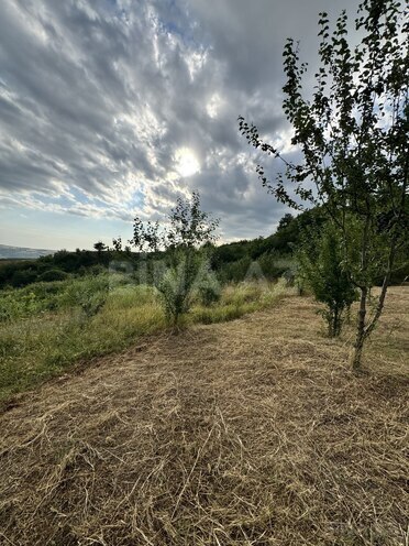 Продаётся  участок 400 сот, photo 7 from 8