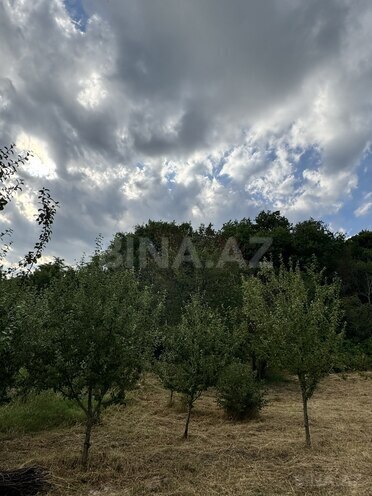 Продаётся  участок 400 сот, photo 4 from 8