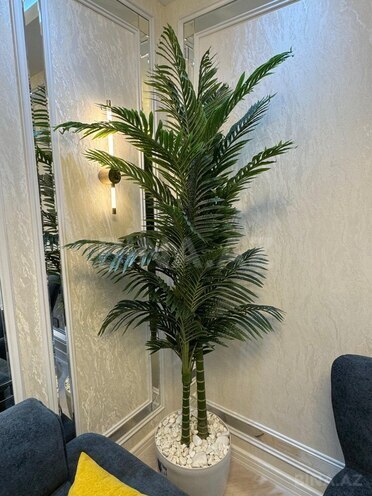 İcarəyə verilir 2 otaqlı yeni tikili 83 m², Nəriman Nərimanov m., photo 25 from 27