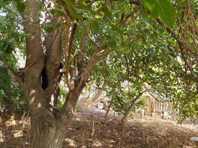 Satılır  torpaq 17 sot, Masazır q., photo 8 from 9