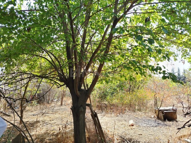 Satılır  torpaq 17 sot, Masazır q., photo 7 from 9
