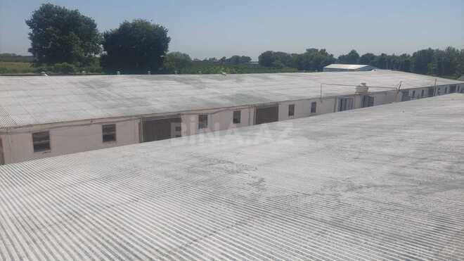 İcarəyə verilir  obyekt 16 000 m², Xaçmaz r., photo 9 from 32